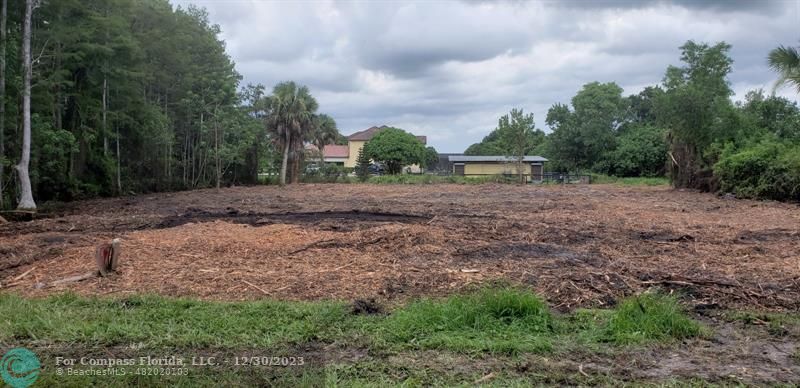 a view of dirt yard with large trees