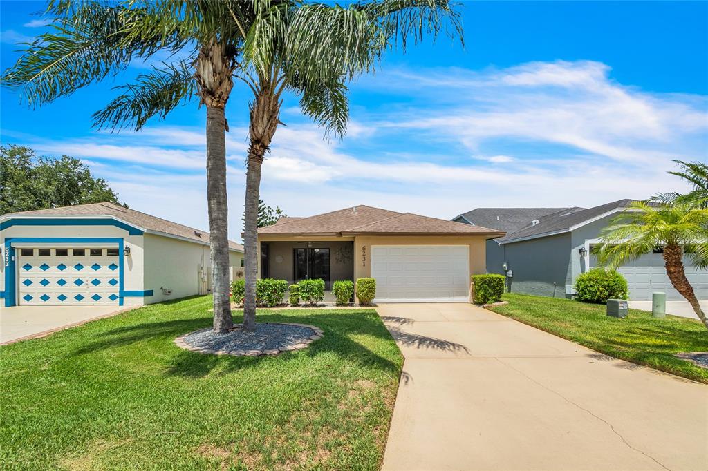 a house with palm tree in front of it