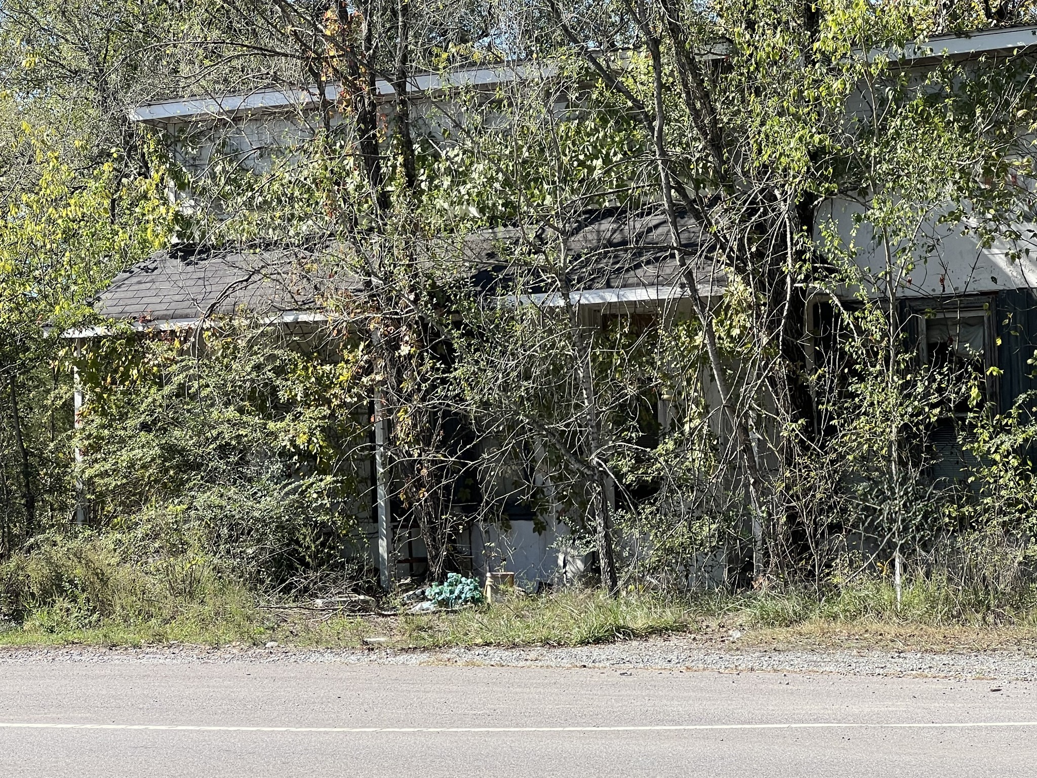 a view of a yard and a tree