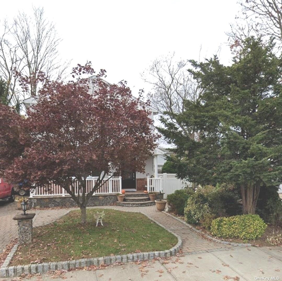 a view of a yard with a tree