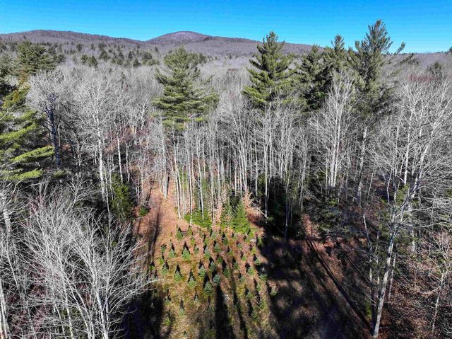 $150,000 | Tbd Selden Mill Road | Ripton