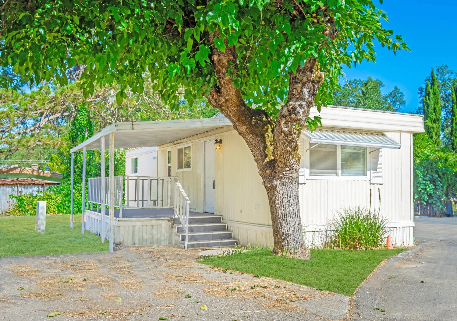 a view of a house with a small yard and a large tree