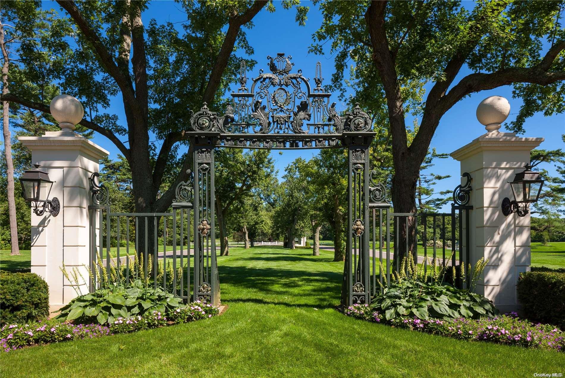 a view of a park that has a tree in it