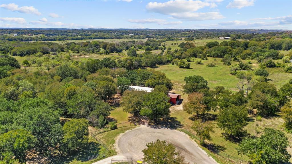 a view of a lot of trees and yard