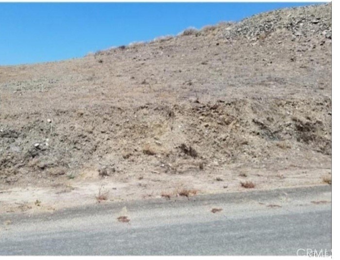 a view of a dry field with trees in the background