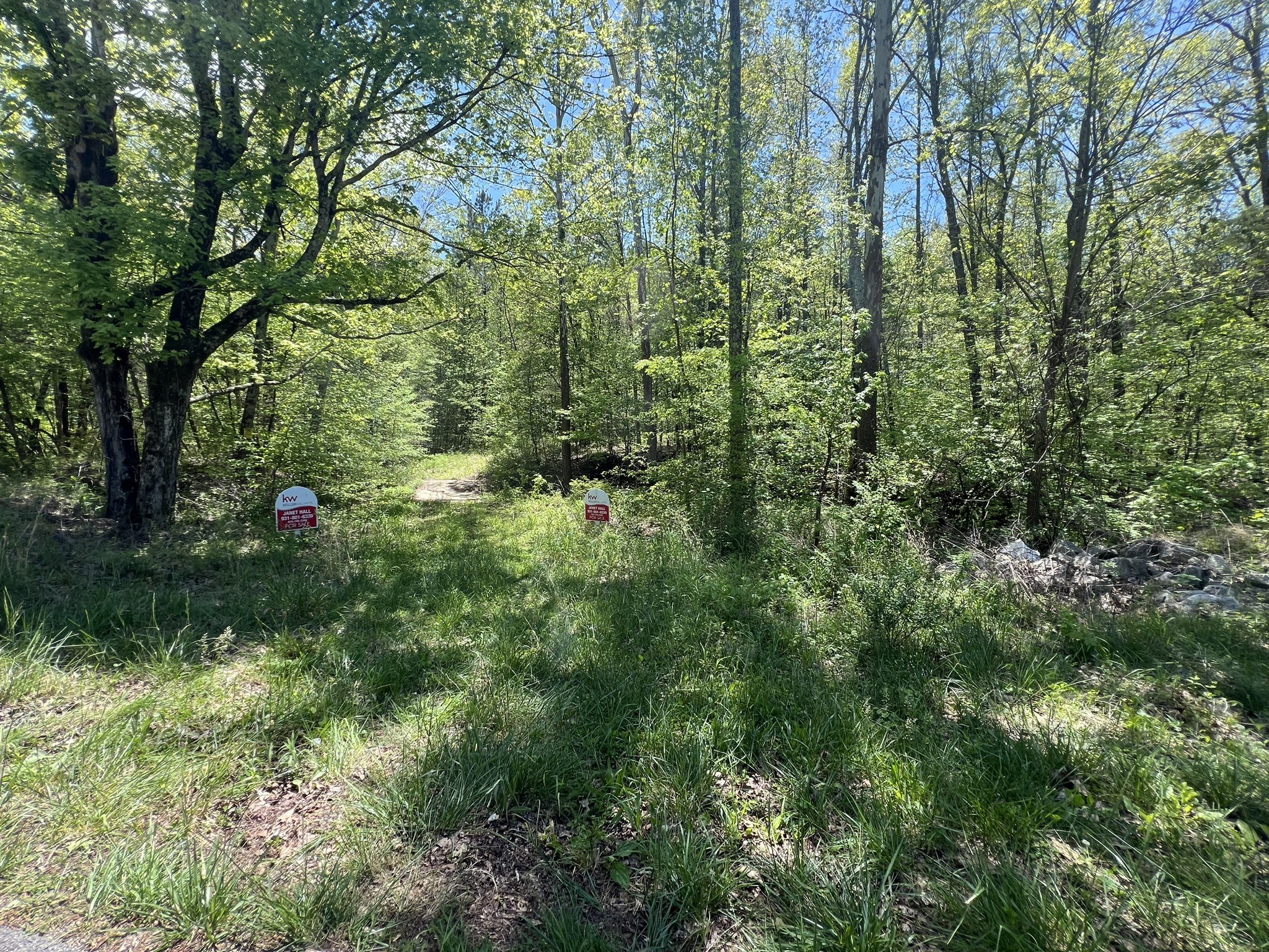 a view of a garden