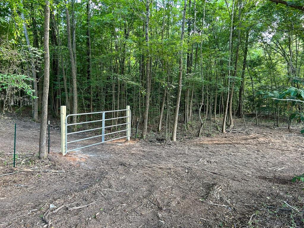 a view of back yard with green space