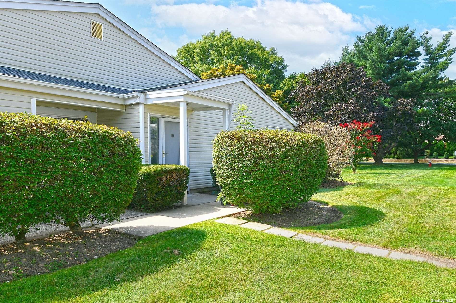 a view of a backyard with plants and a garden