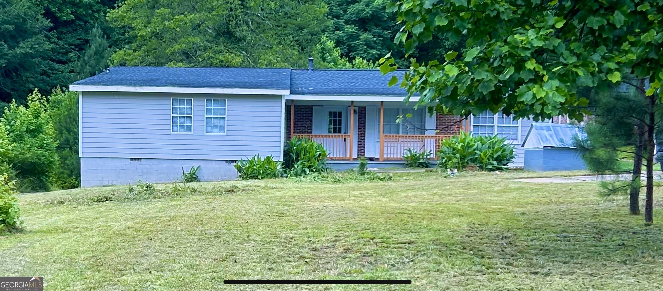 a view of a yard in front of a house with plants and large tree