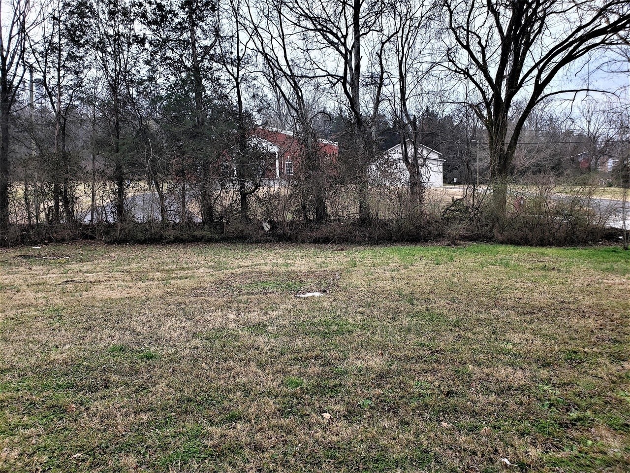 a view of a yard with a trees