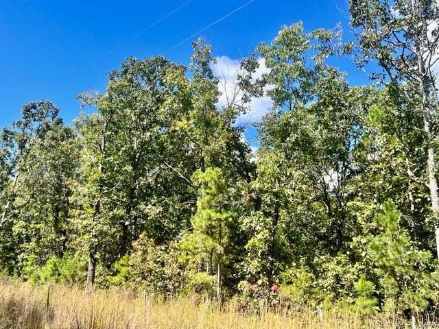 $92,000 | 0 Cadle Road | Sherrill Township - Texas County