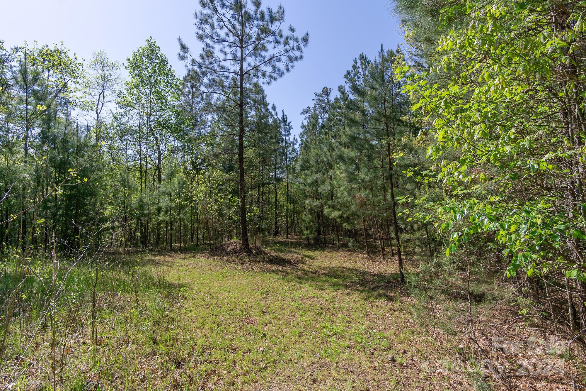 a view of outdoor space with trees all around