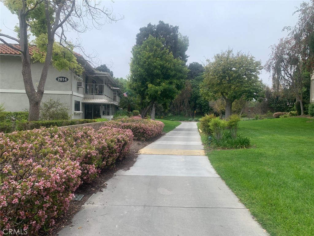 a view of a pathway with house on both side