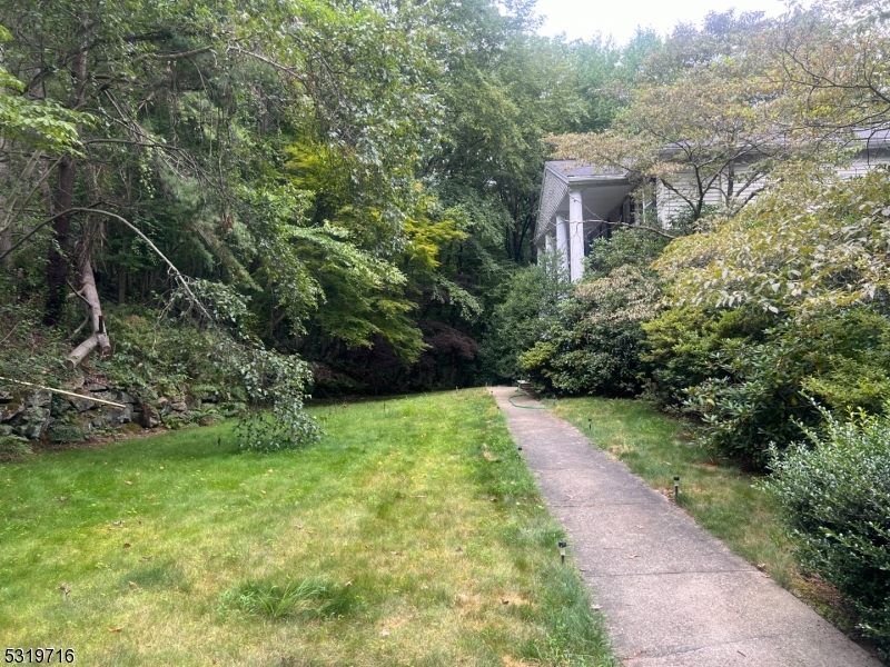 a view of backyard with green space