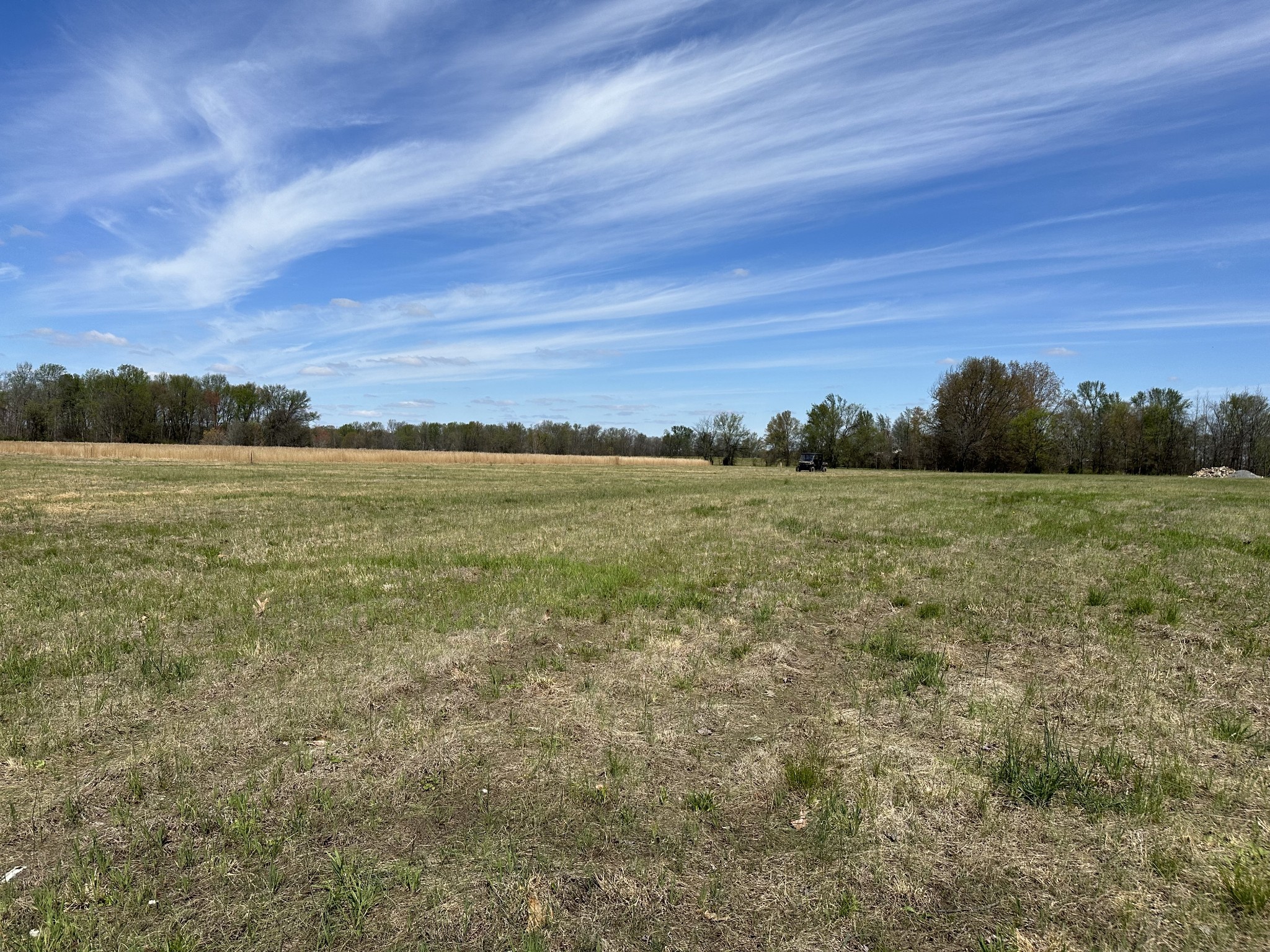 a view of a field with an ocean