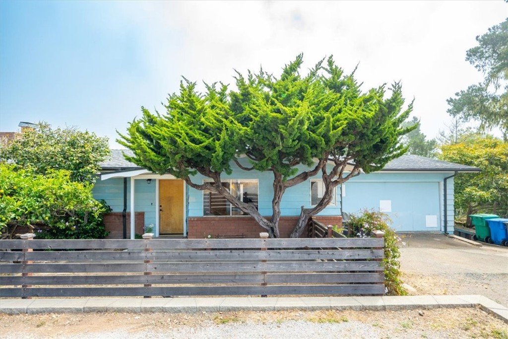 a view of house with a yard