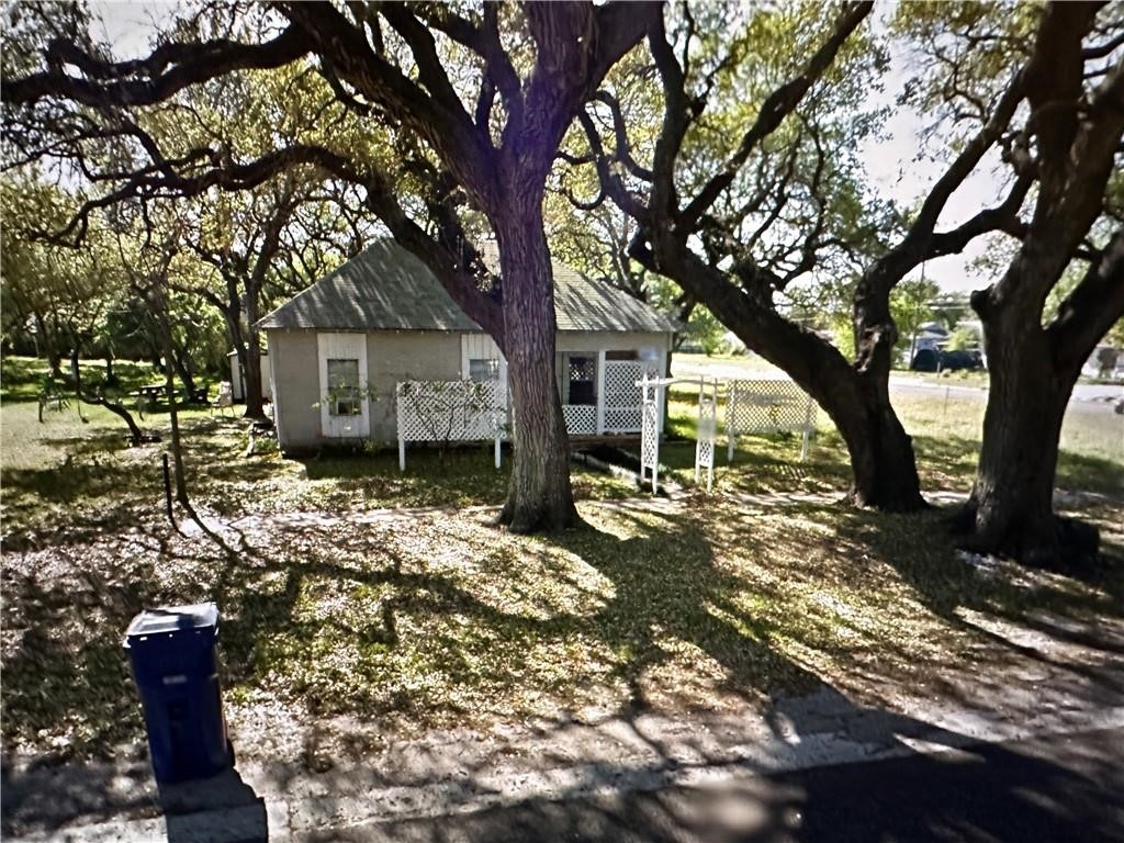 a tree in the middle of a yard