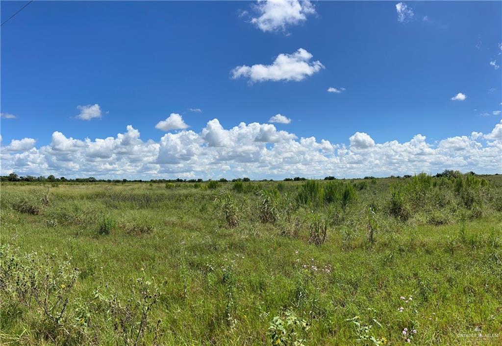 View of local wilderness with a rural view