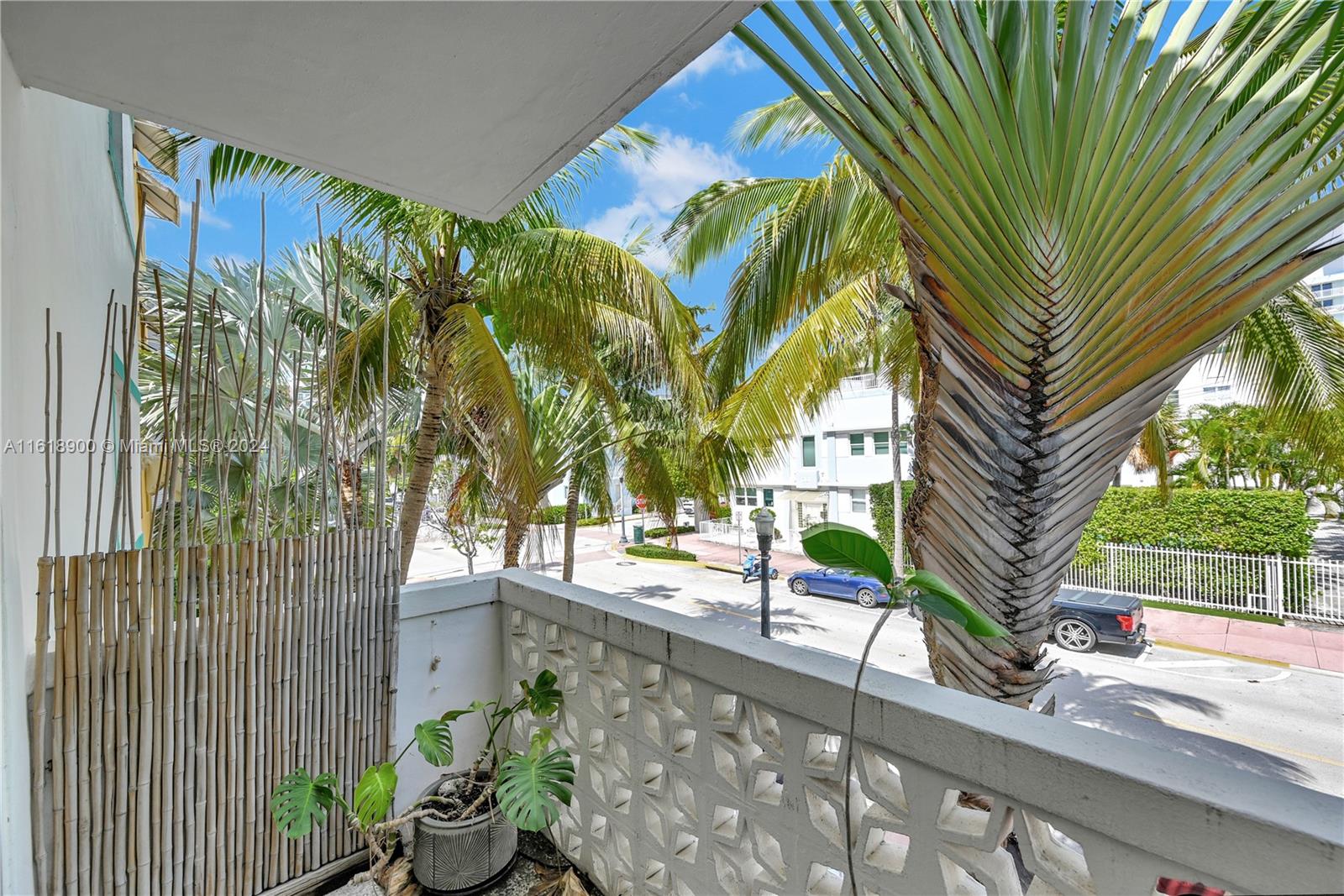 a view of a palm trees front of a house