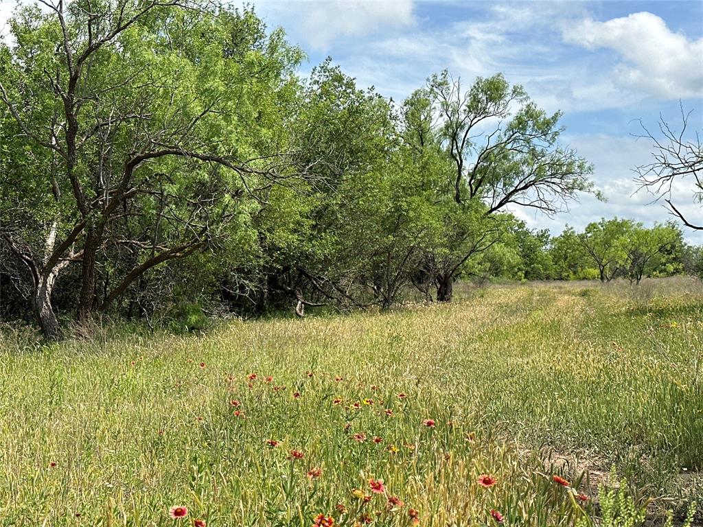 a view of a garden