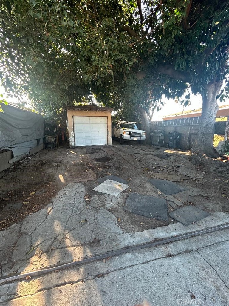 a view of a yard with a tree