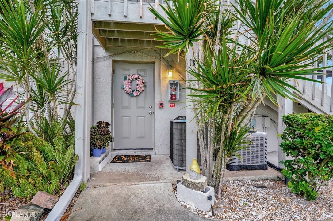 a potted plant sitting in front of a house