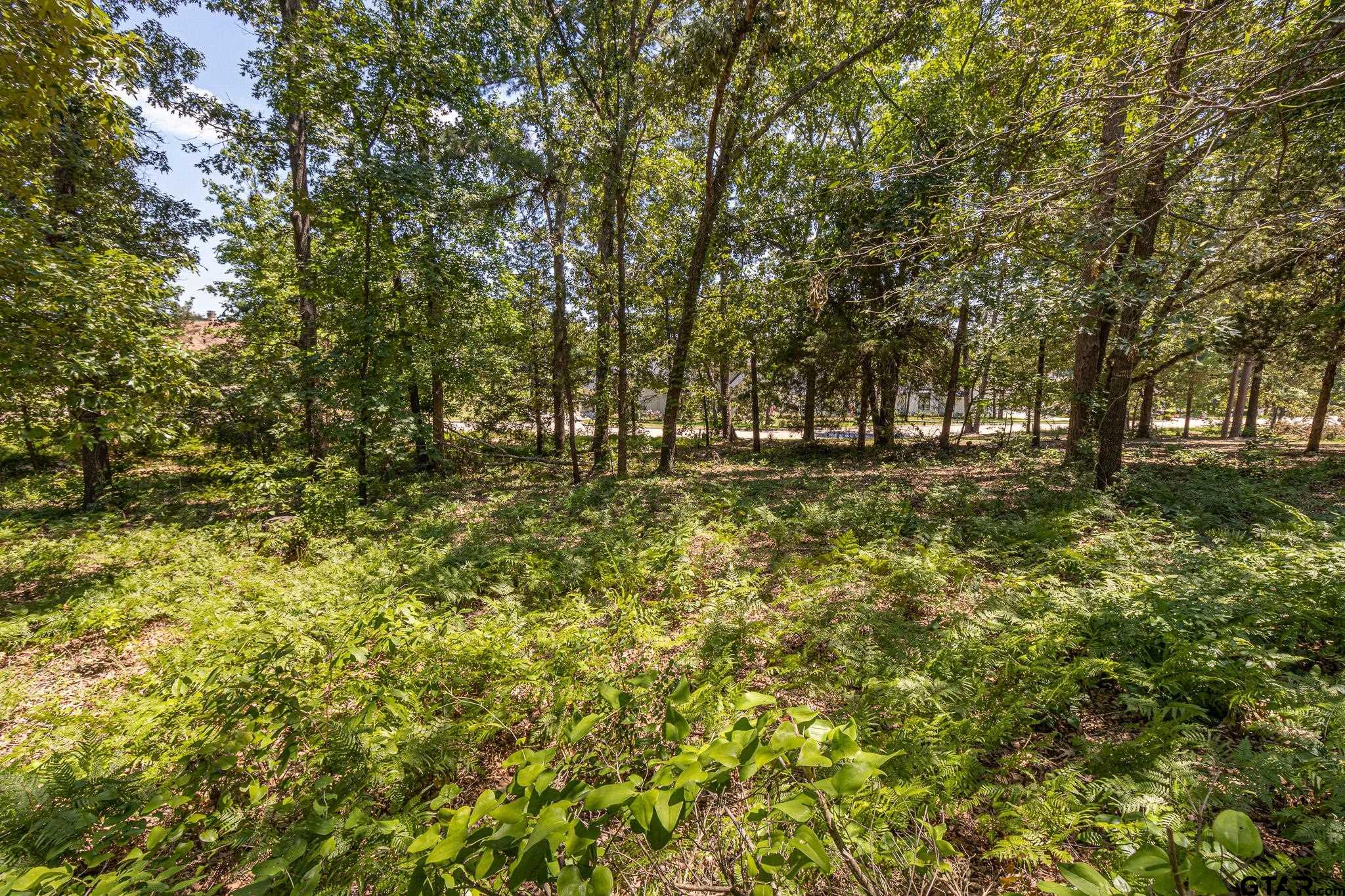 a backyard of a house with large trees