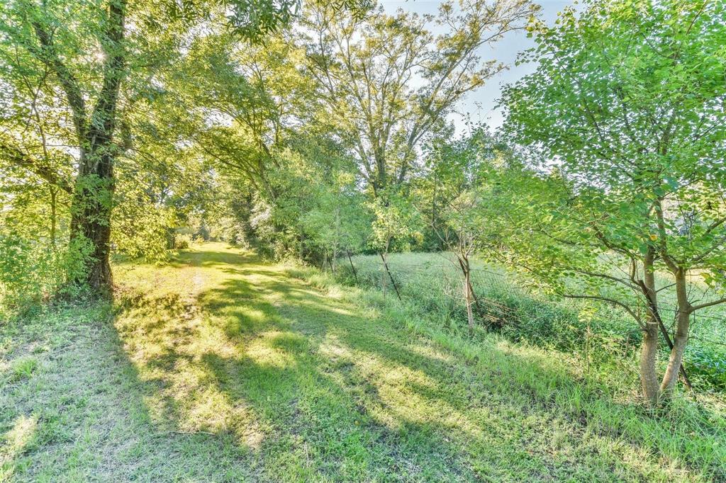 a view of yard with green space and trees all around