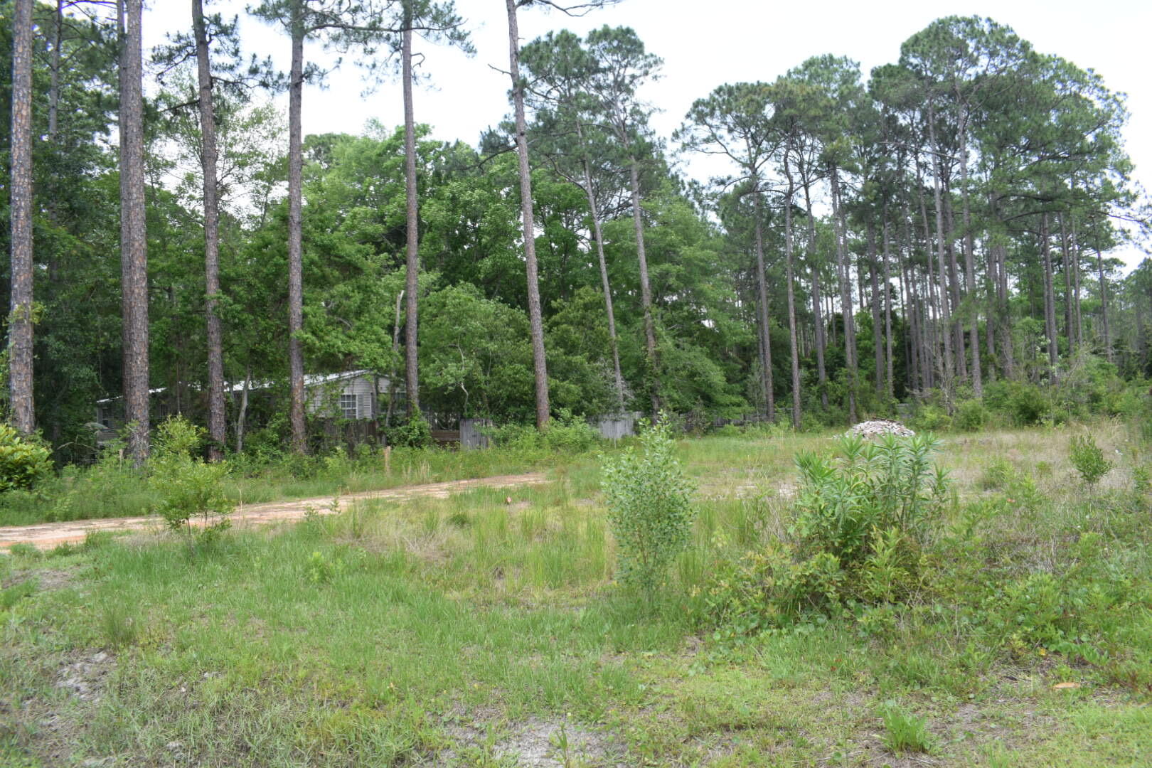 a view of backyard with green space