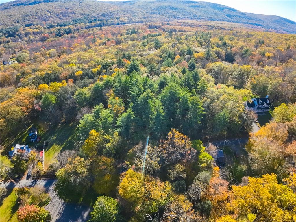 Aerial view featuring a mountain view