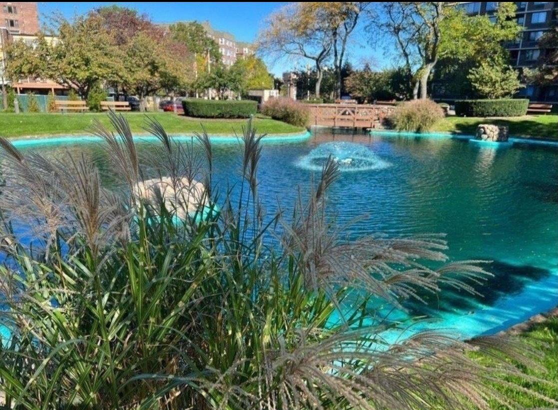 a view of a lake with a yard