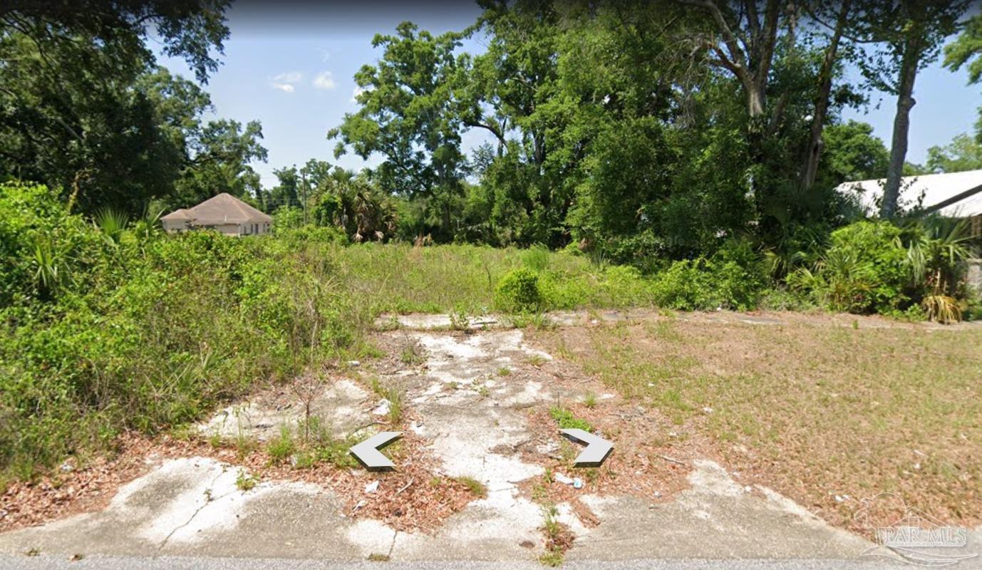 a view of yard with large trees