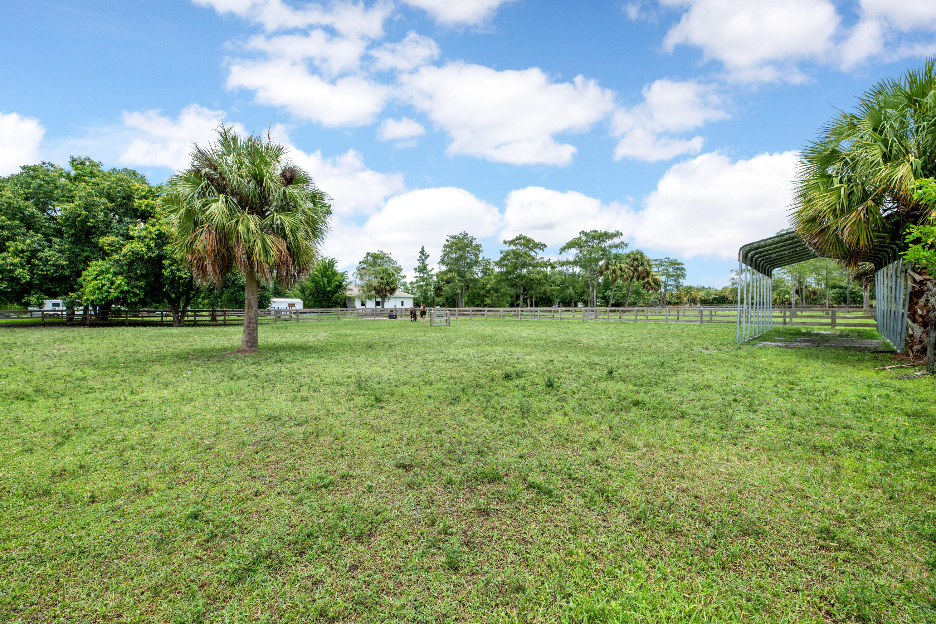 a view of a field with a tree in the background