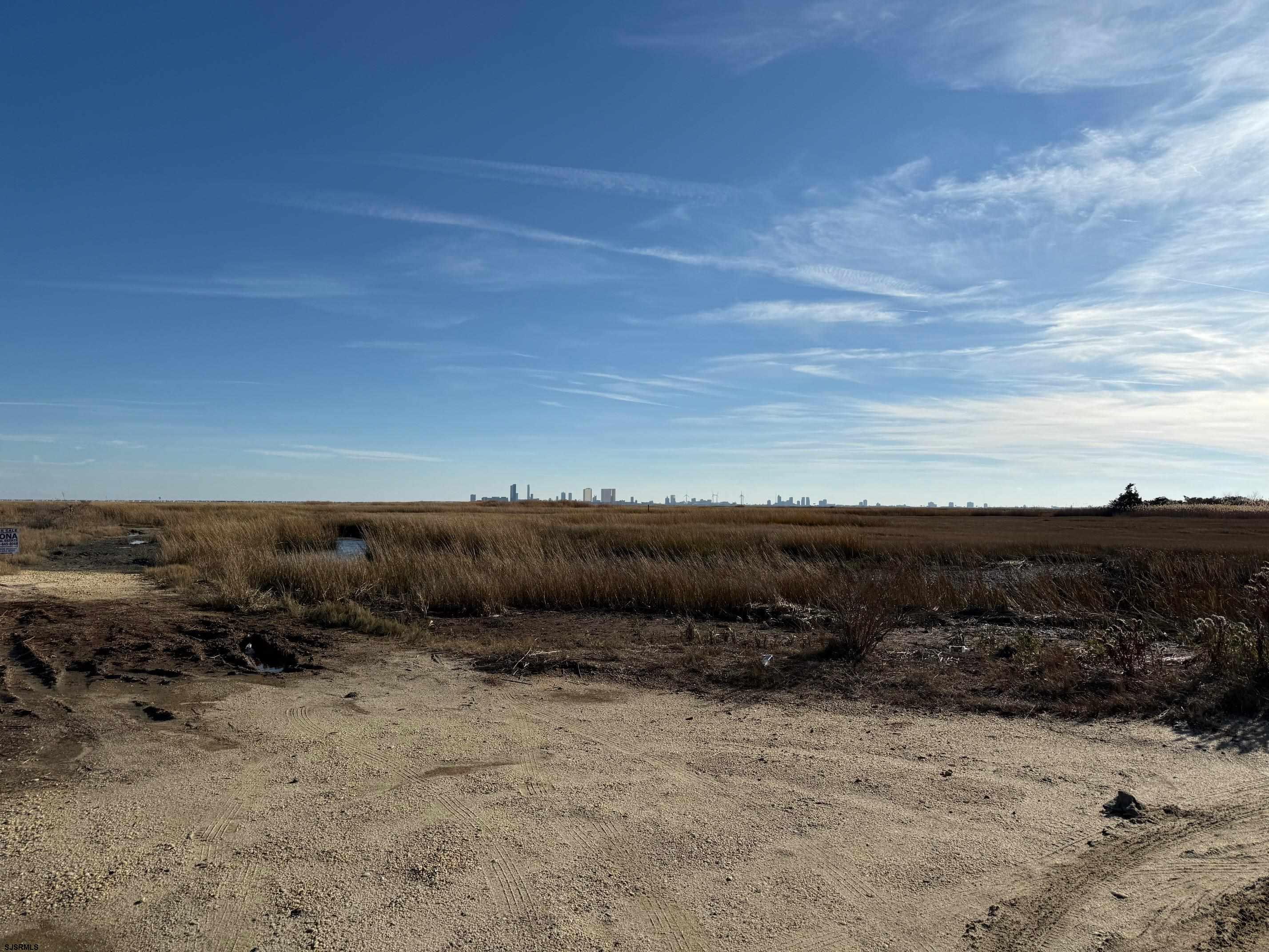 a view of a dry yard