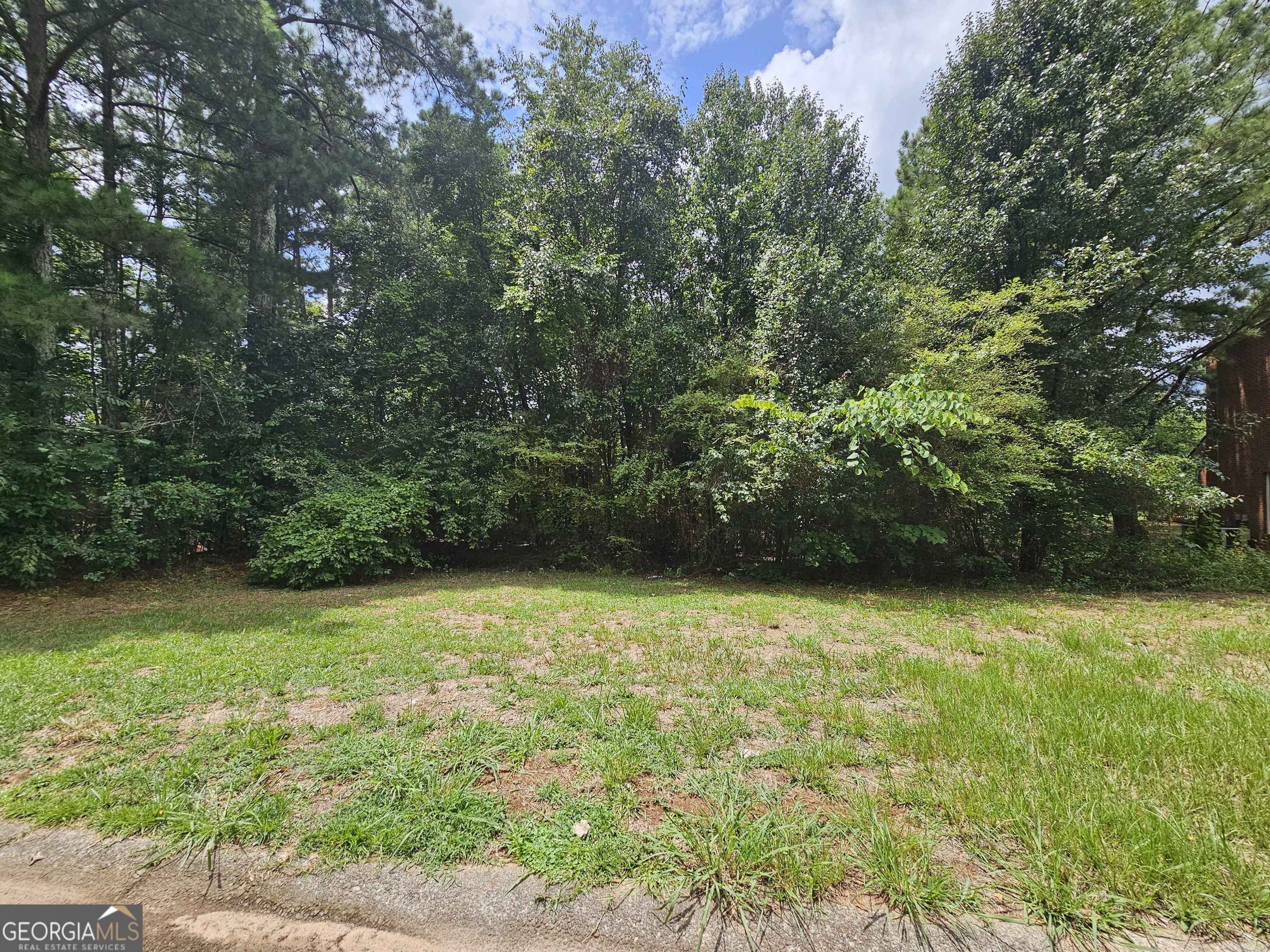 a view of a yard with a plants