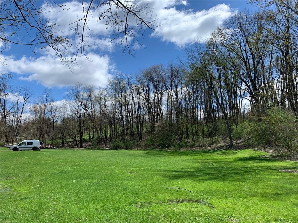 a view of park with trees