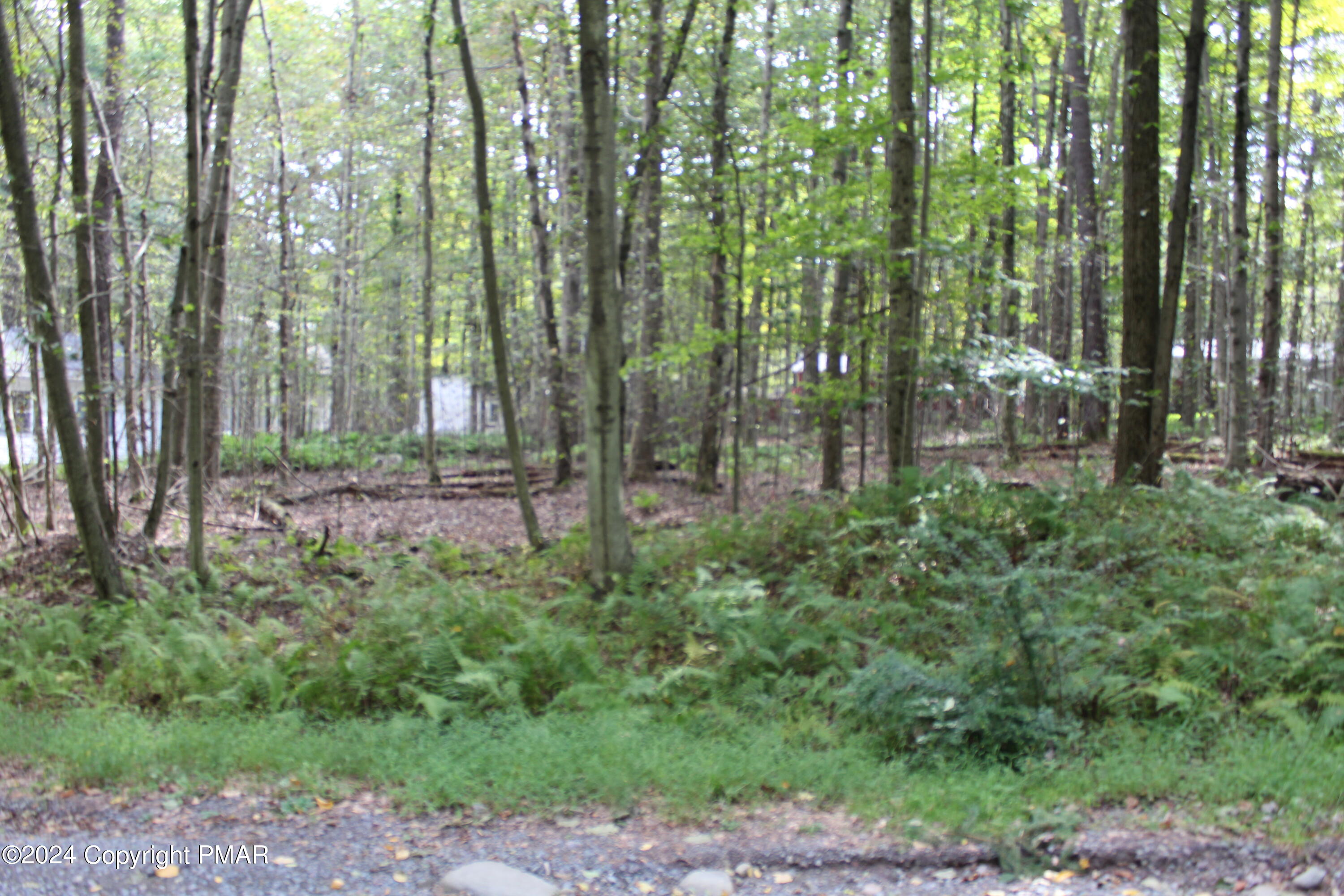 a view of outdoor space and garden