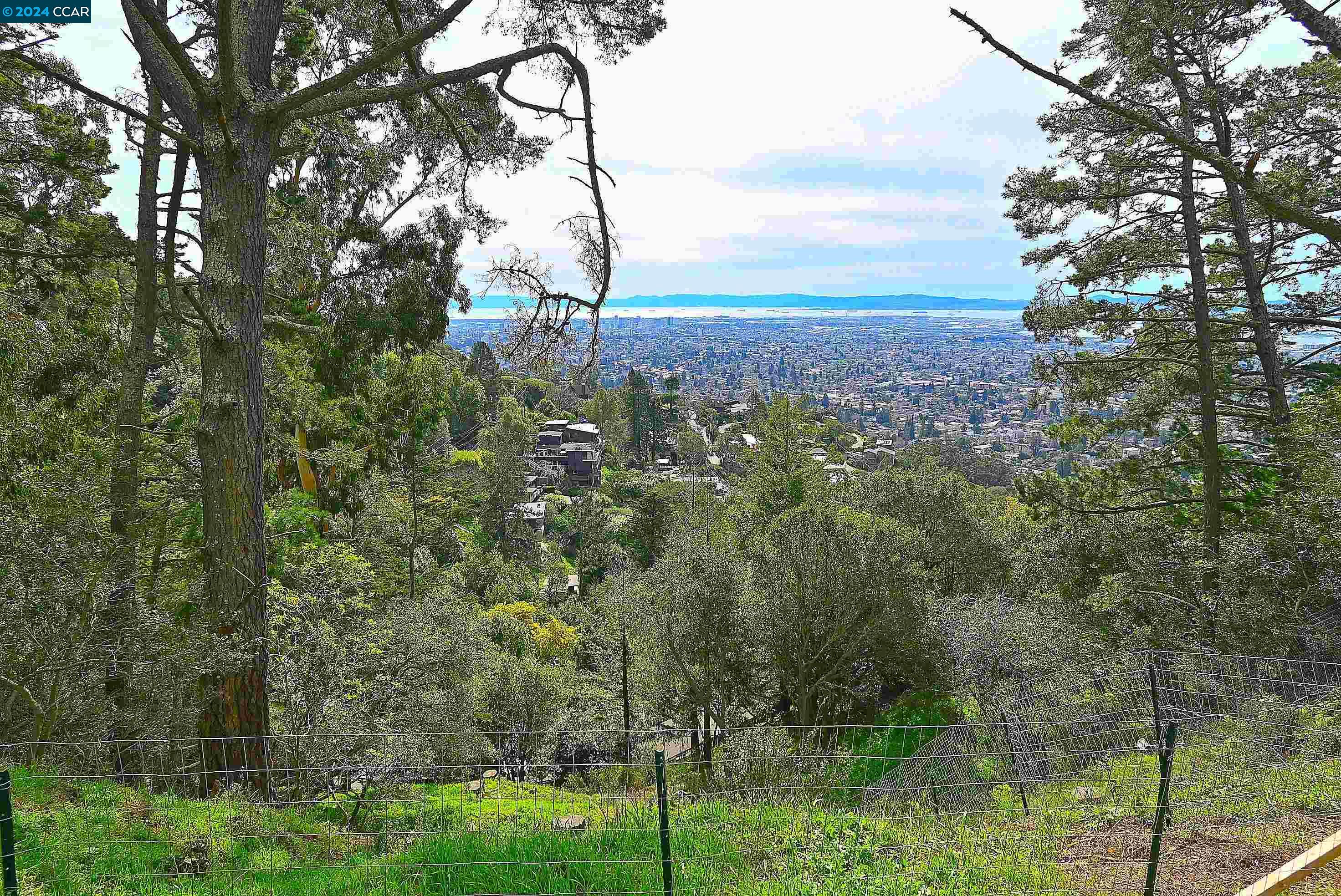 a view of a forest with a house