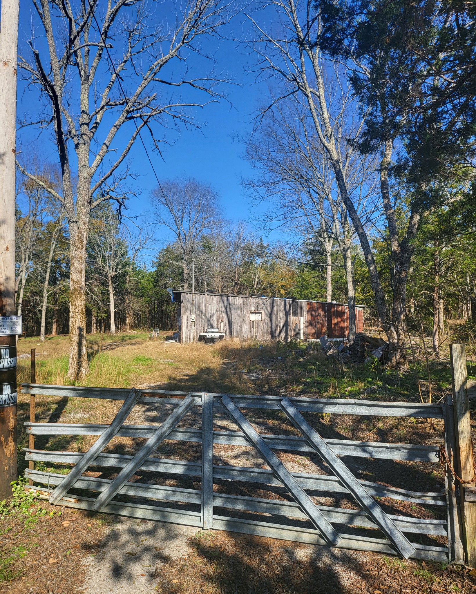 a view of a yard with large tree