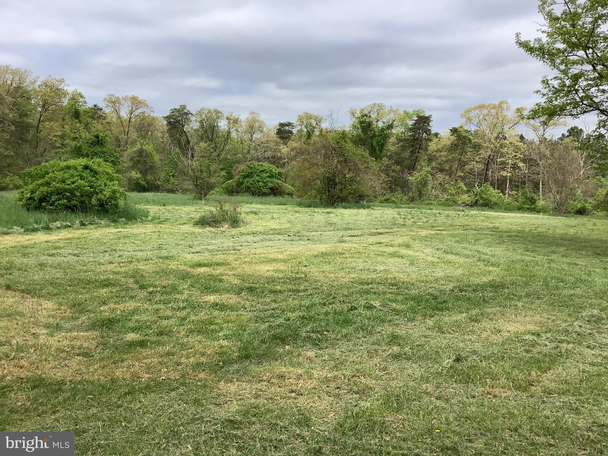 a view of a field with an trees