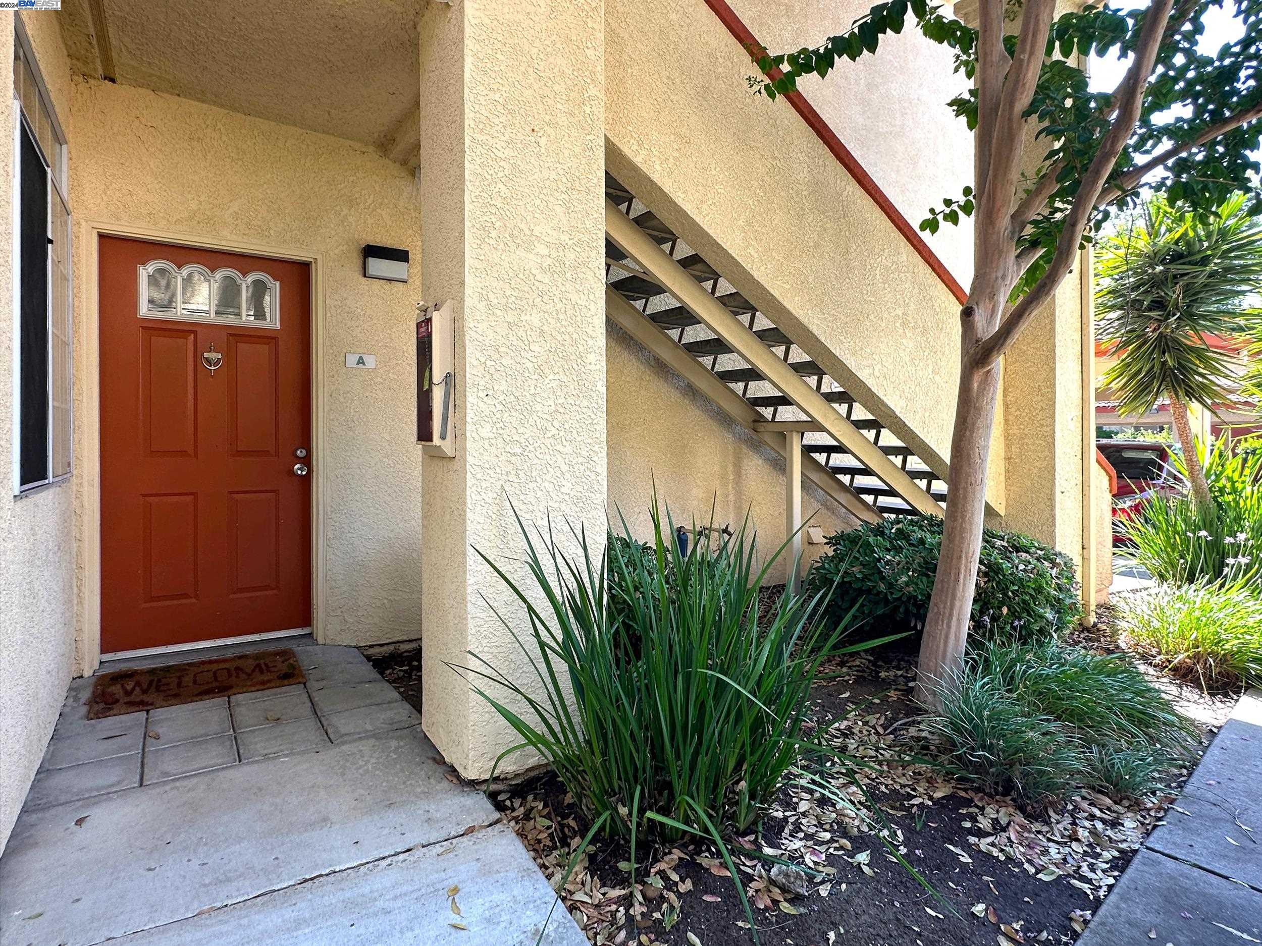 a view of a potted plants in front of door