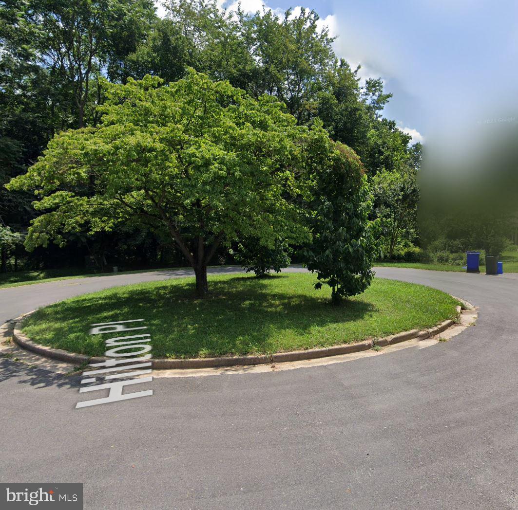 a view of a park with large trees