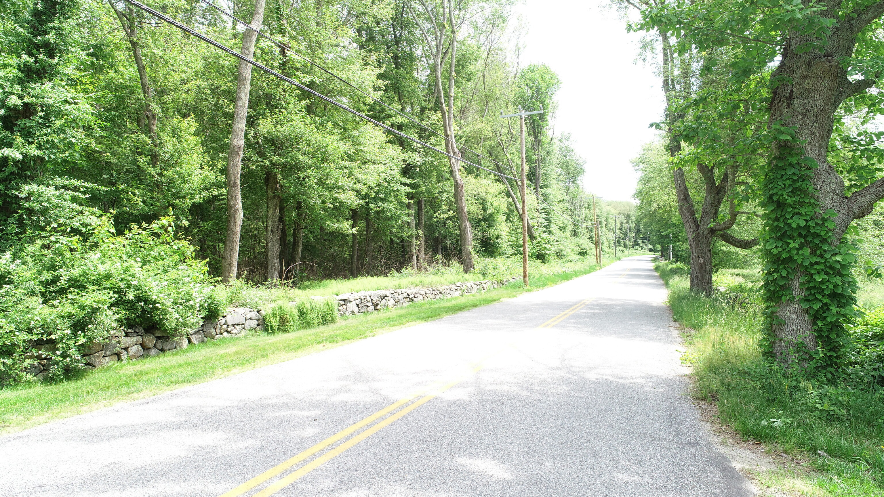 a view of a street with a trees park