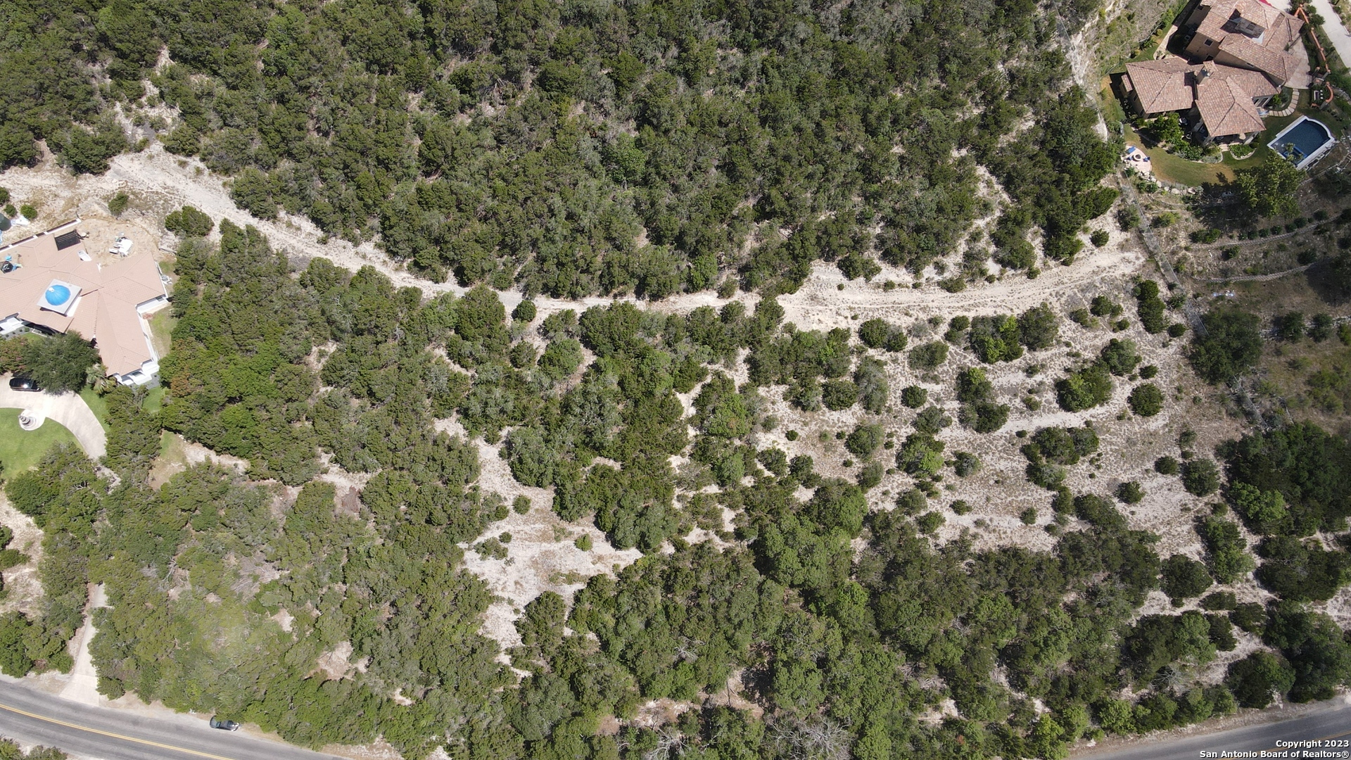 a view of a tree with a tree