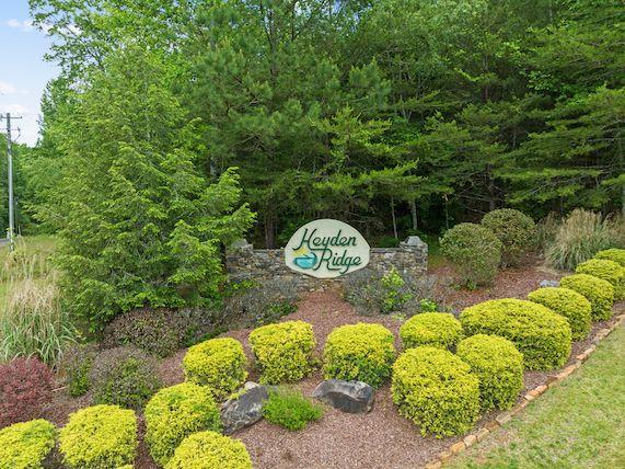 a view of a garden with plants