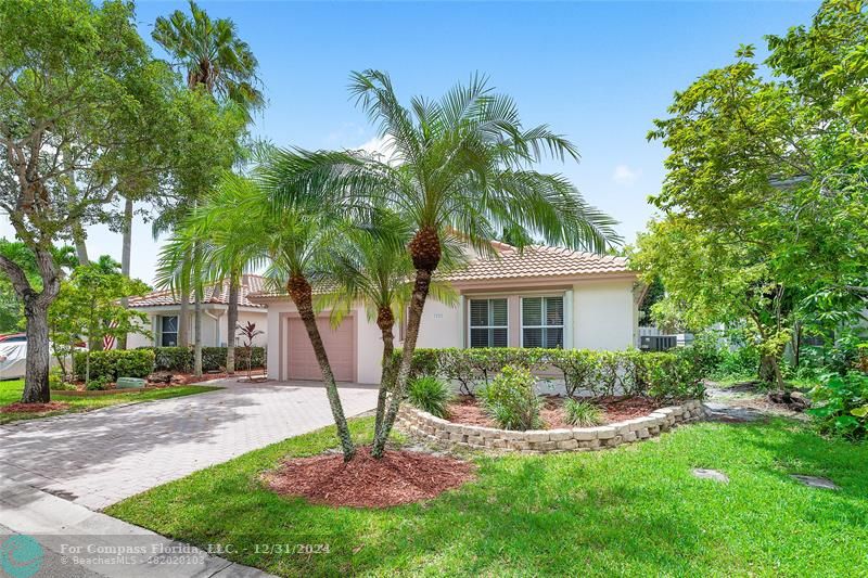 a view of a yard in front of a house with a fountain plants and large trees