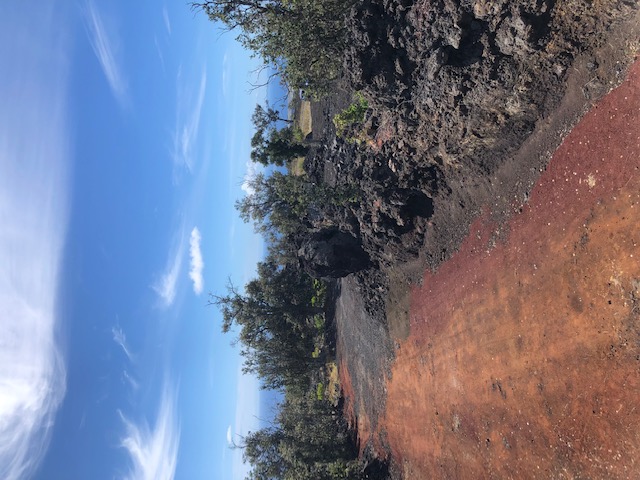 View from deck along berm toward gate...looking southwest.