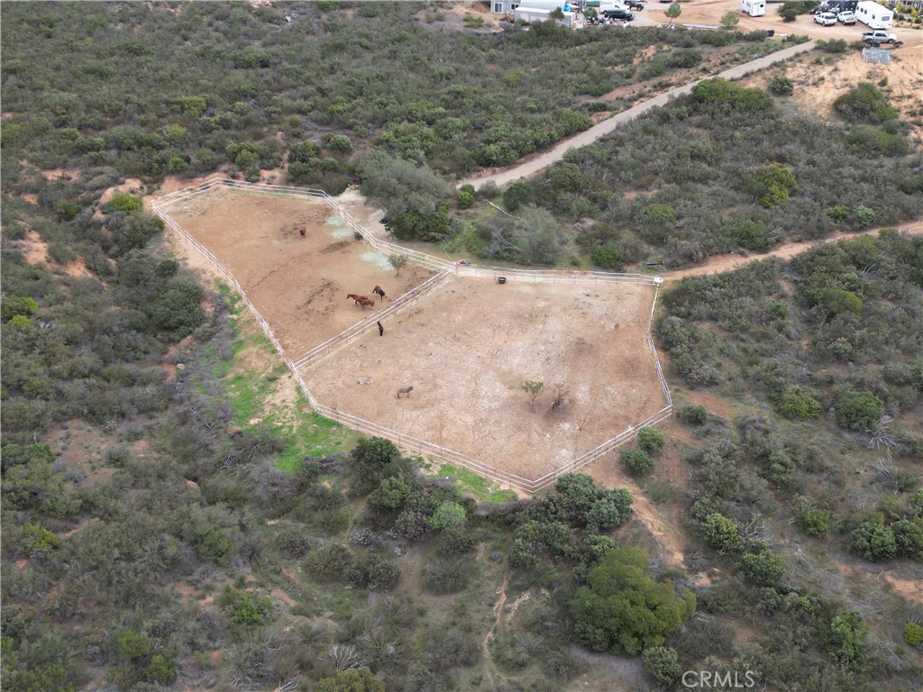 a view of a dry field with lots of trees in it