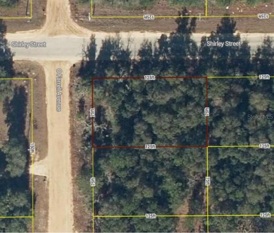 $7,999 | Lot 1 O Farrell Avenue | Interlachen Lakes Estates