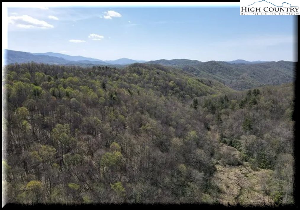 a view of a mountain in the distance in a field